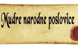 Narodna poslovica o inatu