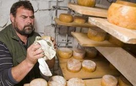 Tradicionalni ovčiji sir s Brača uskoro dobiva oznaku izvornosti