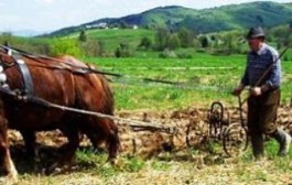 Proljetni običaji i tradicionalni proljetni poslovi