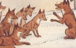 Poučna dječja priča o repu i lisici