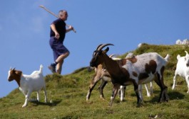 Mudra priča o pastiru i kozama