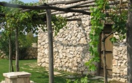Zanimljivosti o vinu i vinogradima na našim područjima