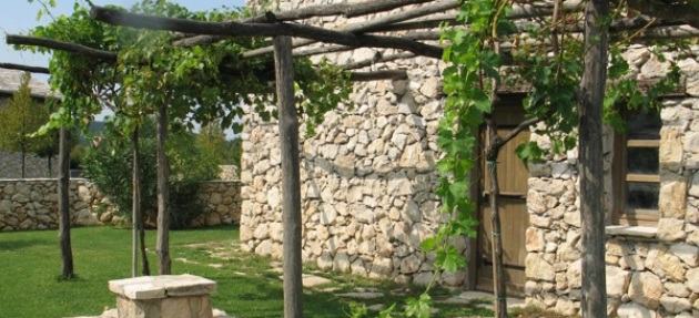 Zanimljivosti o vinu i vinogradima na našim područjima