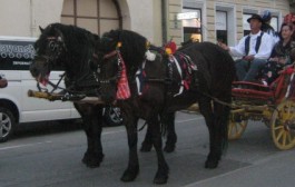 Ponos i tradicija Slavonije naše su trajno nadahnuće
