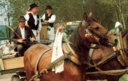 Tradicionalni svatovi stižu po djevojku