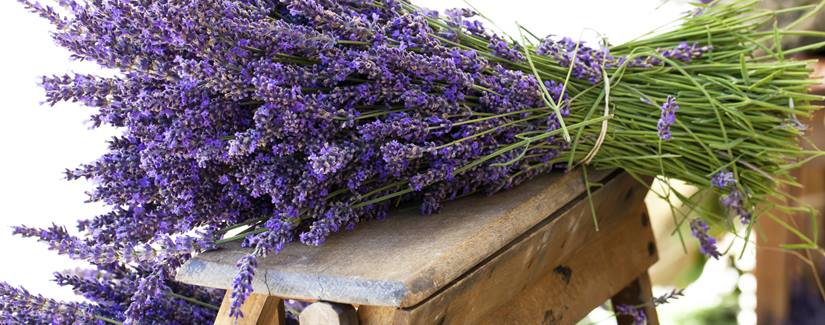 Najbolji narodni ljekovi naših baka
