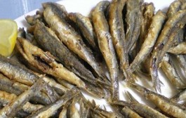 Jednostavne pržene srdelice i inćuni