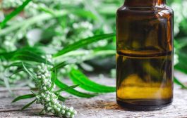 Jednostavno pripravite ljekovitu tinkturu ili biljni ocat