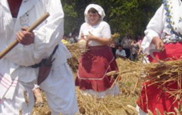 Što je tradicionalna moba ili uzajamna pomoć